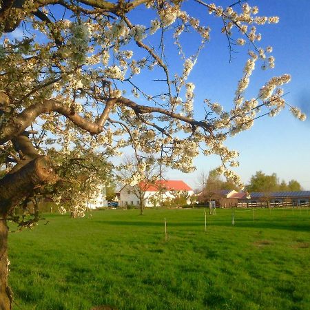 Ferienwohnung Zweinig 01 Exteriör bild