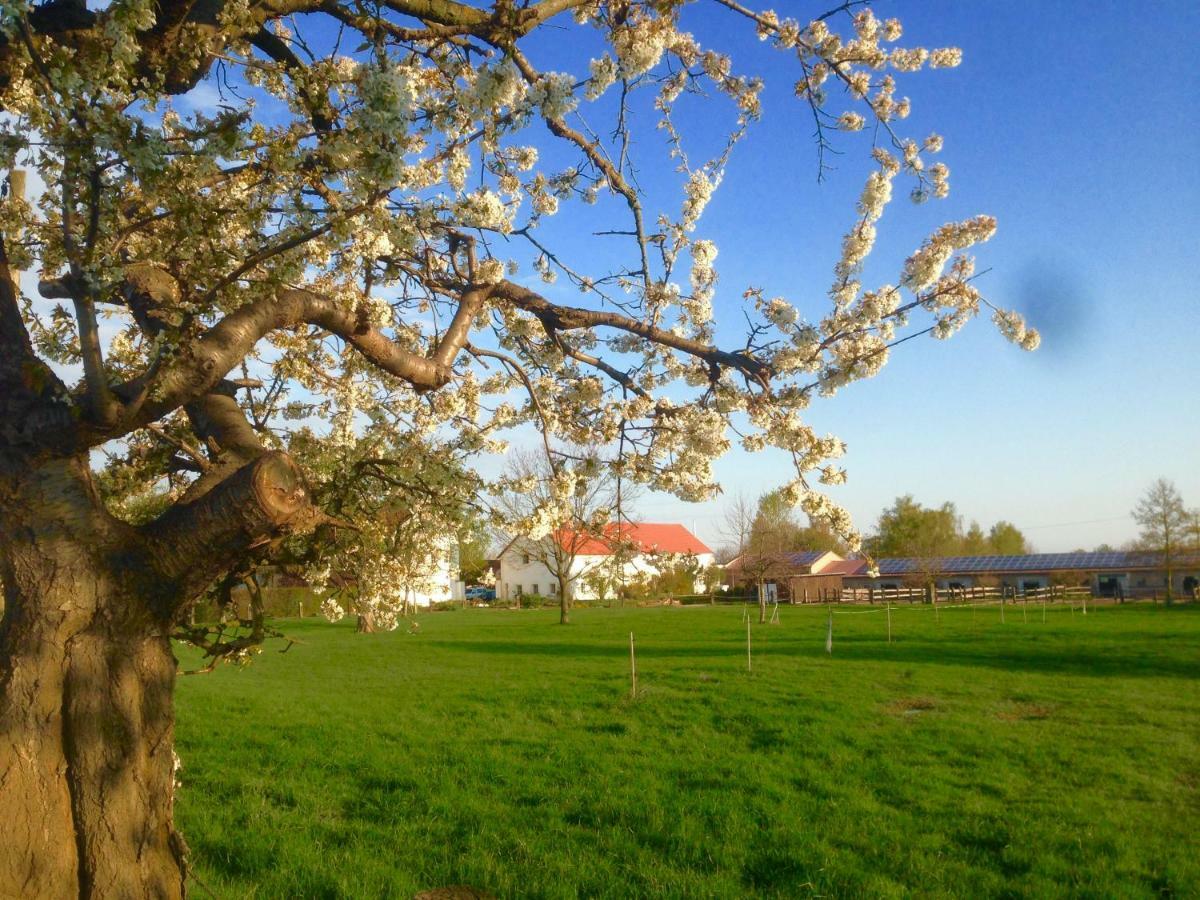 Ferienwohnung Zweinig 01 Exteriör bild